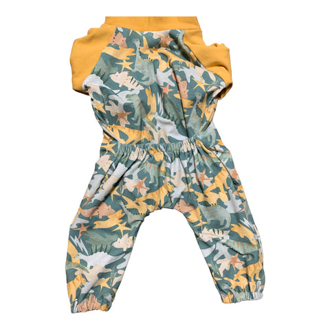 Hooded Romper-Dinosaurs 3M-6M